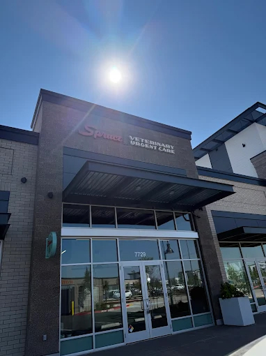 Spruce Veterinary Urgent Care in Hillsboro Oregon